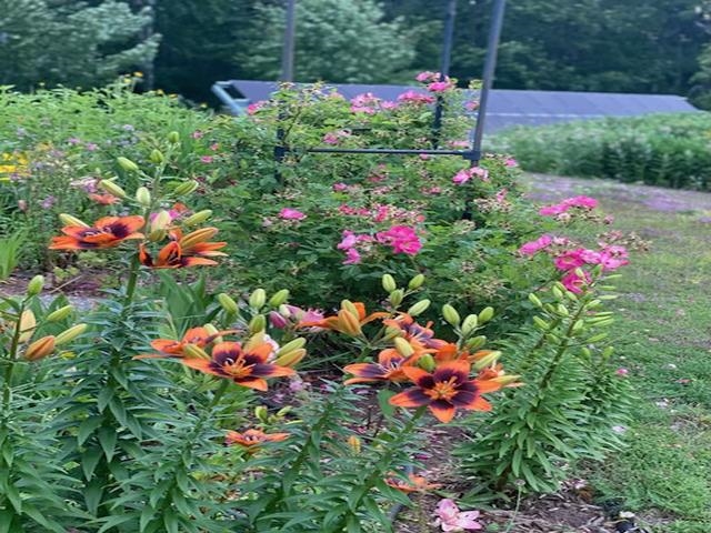 86360 Meyers-Olson Road Bayfield, WI 54814 - Photo 65 of 80