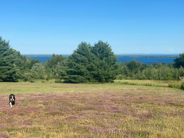 86360 Meyers-Olson Road Bayfield, WI 54814 - Photo 67 of 80