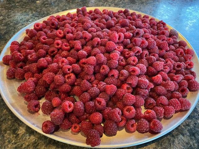 86360 Meyers-Olson Road Bayfield, WI 54814 - Photo 69 of 80