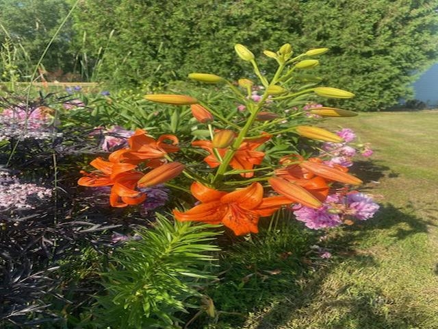 86360 Meyers-Olson Road Bayfield, WI 54814 - Photo 73 of 80