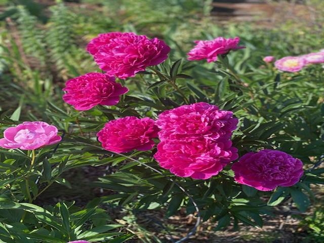 86360 Meyers-Olson Road Bayfield, WI 54814 - Photo 74 of 80