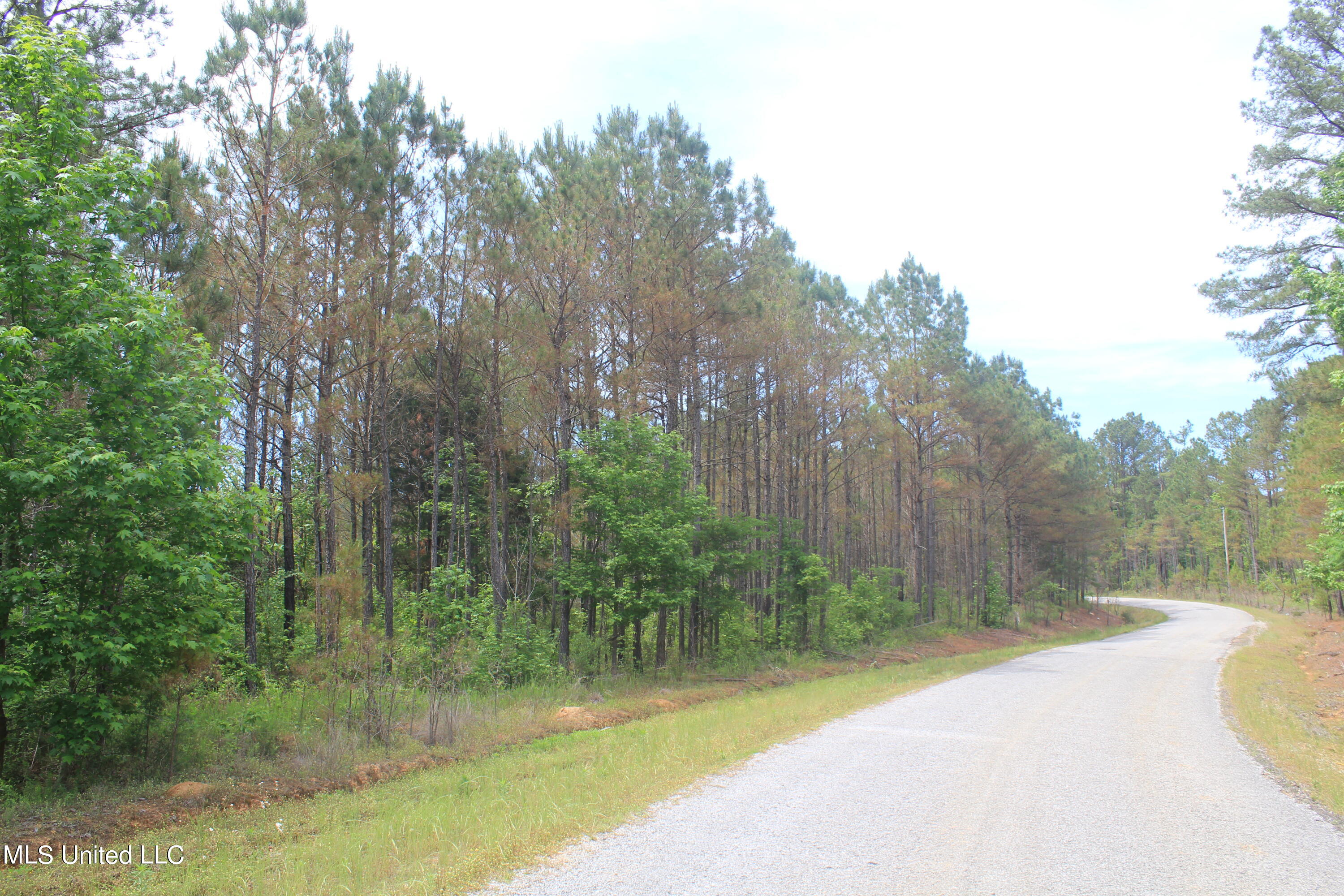 2409 Musgray Road Waterford, MS 38685 - Photo 1 of 25 land