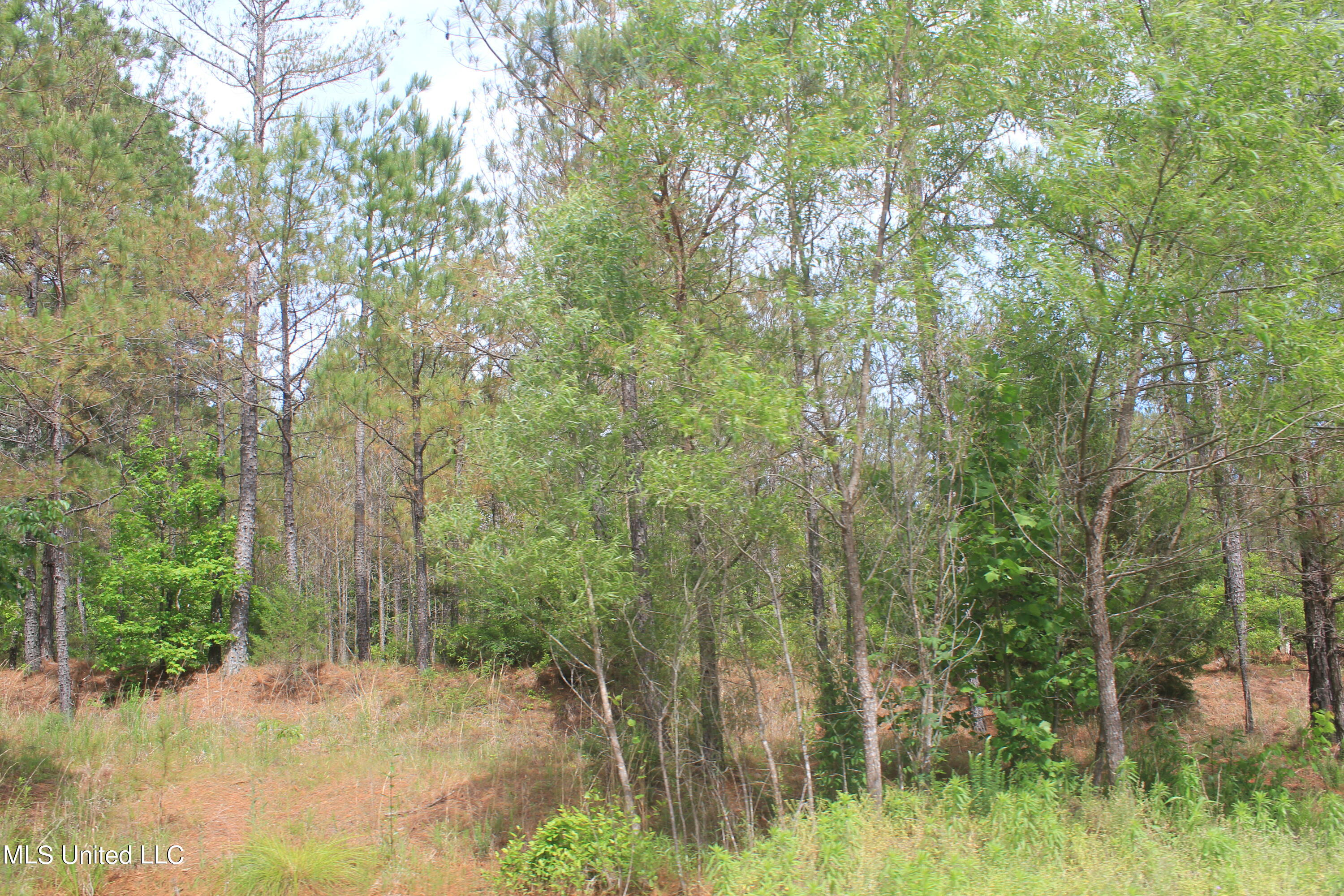 2409 Musgray Road Waterford, MS 38685 - Photo 14 of 25 IMG_8360