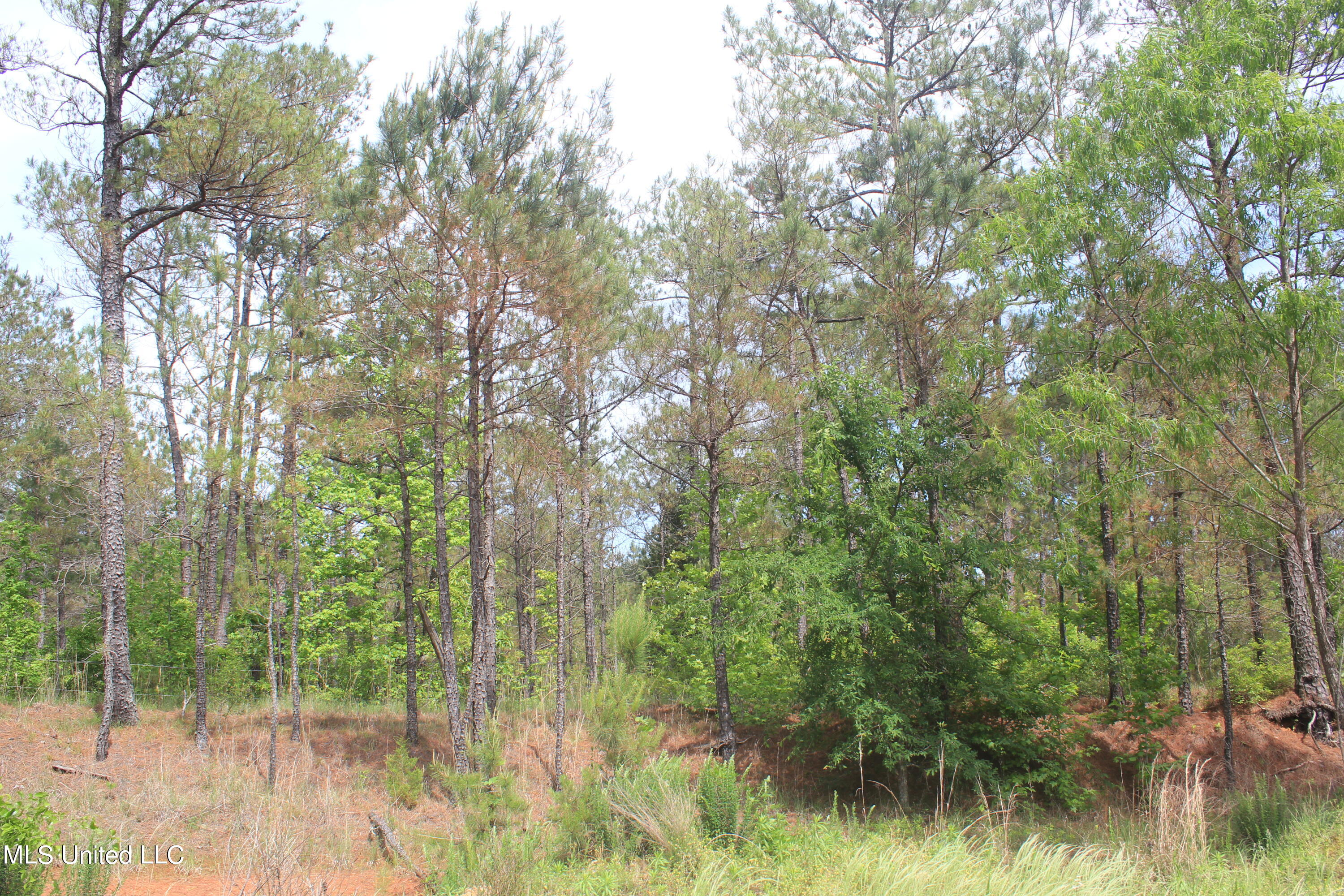 2409 Musgray Road Waterford, MS 38685 - Photo 15 of 25 IMG_8361