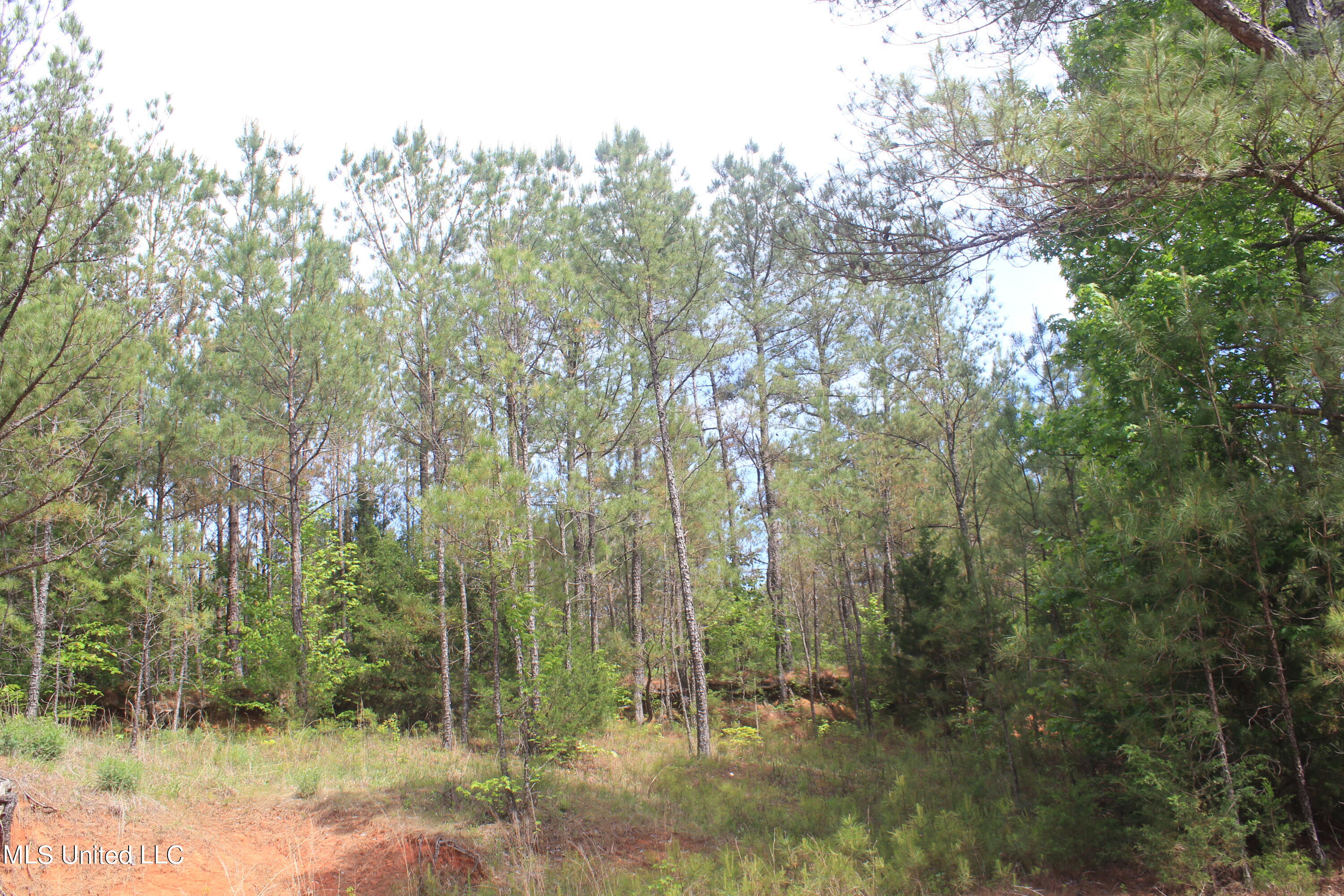 2409 Musgray Road Waterford, MS 38685 - Photo 18 of 25 IMG_8364