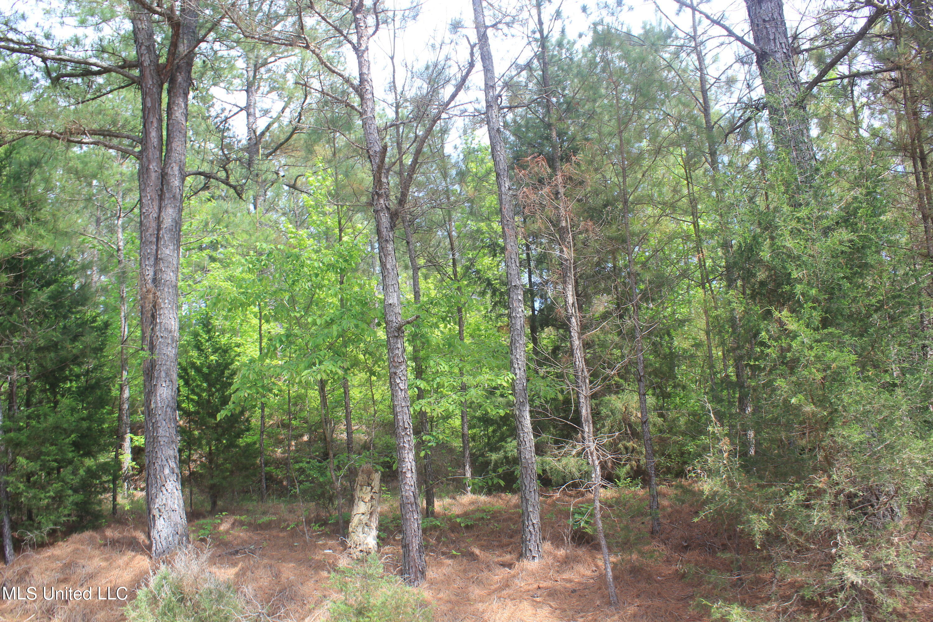 2409 Musgray Road Waterford, MS 38685 - Photo 19 of 25 IMG_8365