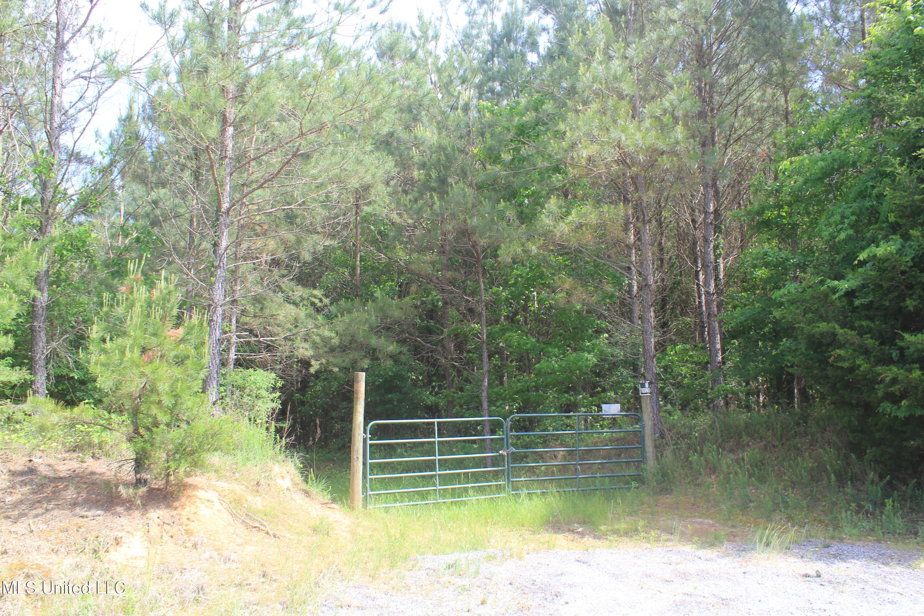2409 Musgray Road Waterford, MS 38685 - Photo 20 of 25 IMG_8366