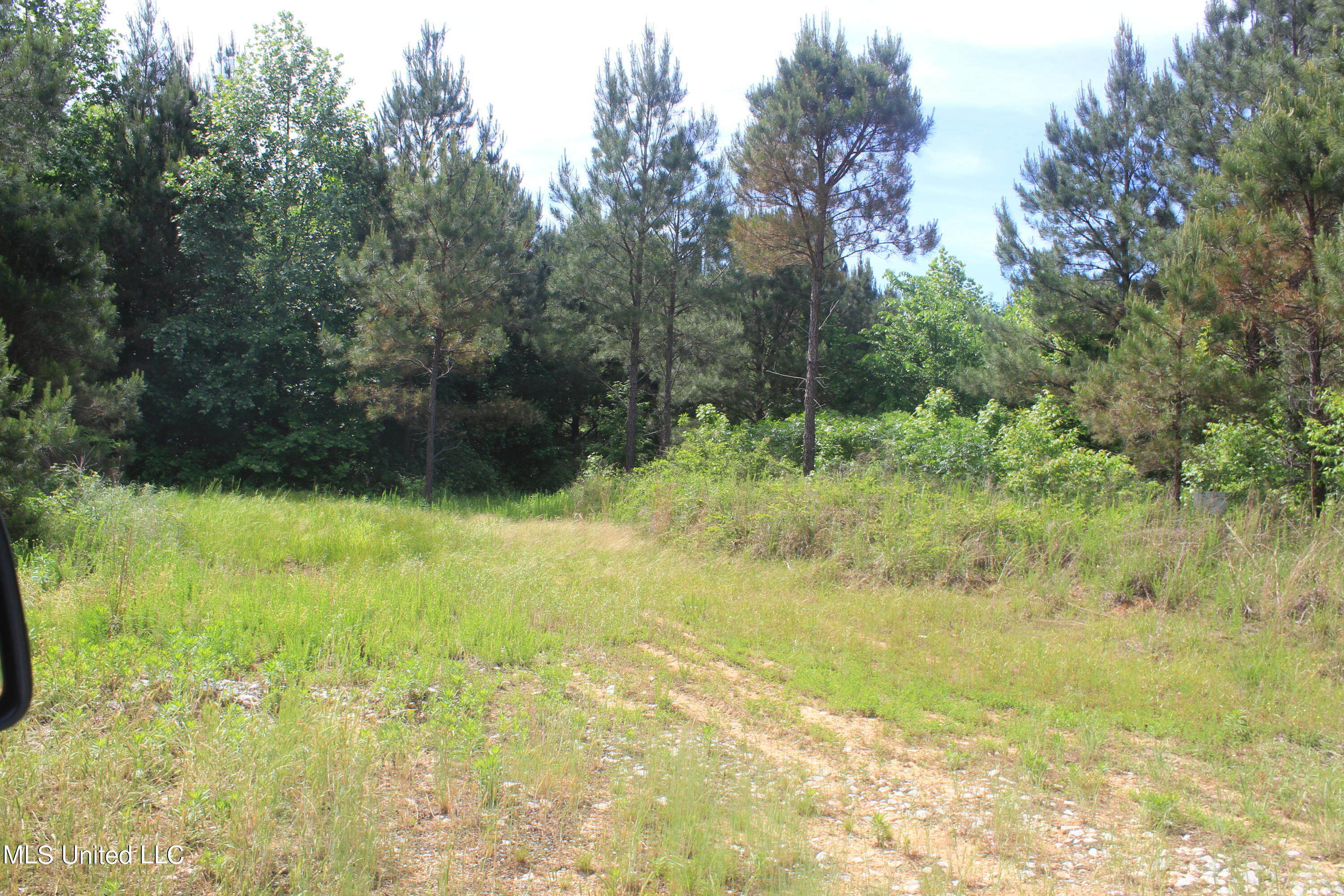 2409 Musgray Road Waterford, MS 38685 - Photo 21 of 25 IMG_8367