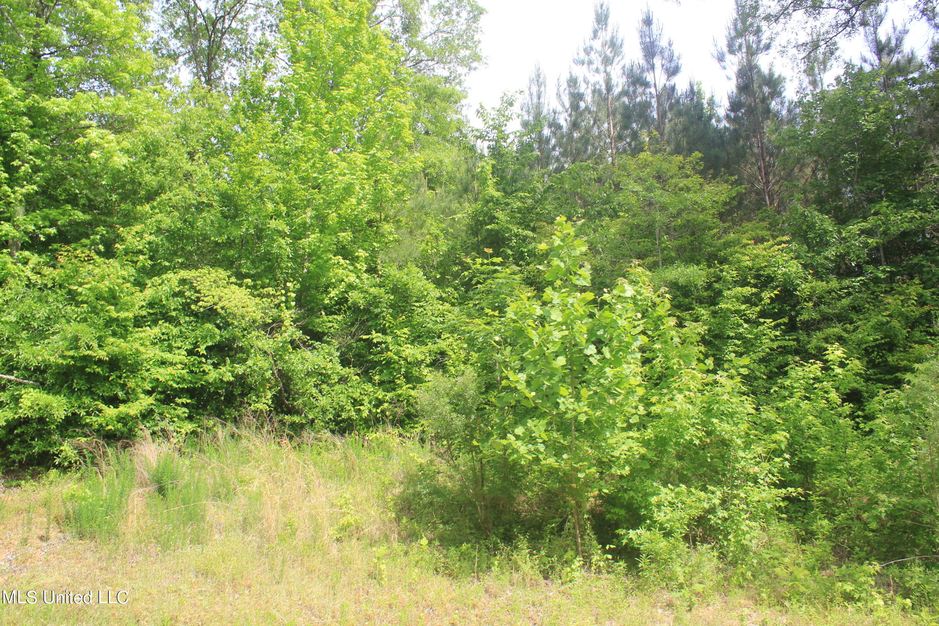 2409 Musgray Road Waterford, MS 38685 - Photo 22 of 25 IMG_8368