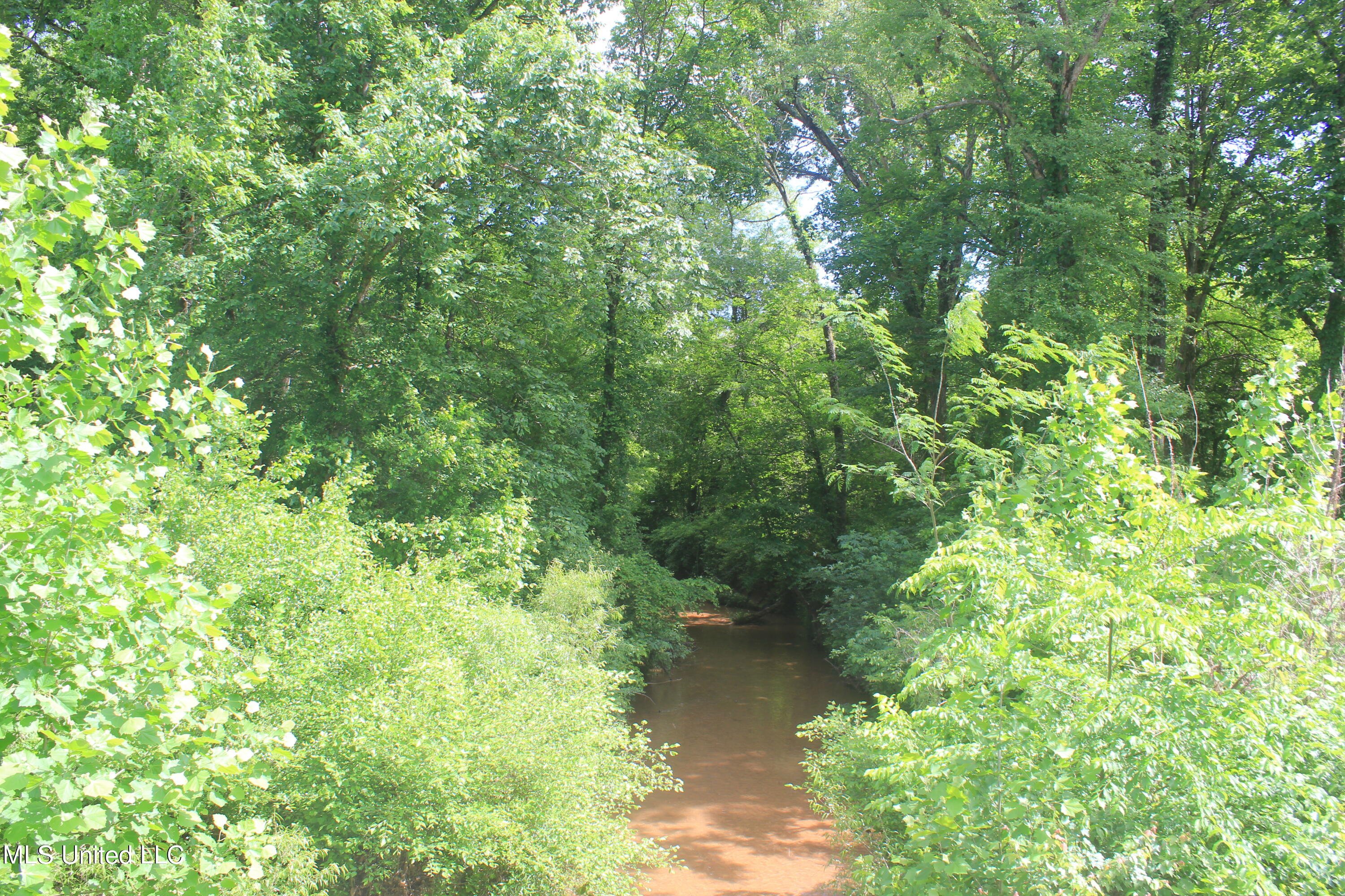 2409 Musgray Road Waterford, MS 38685 - Photo 24 of 25 IMG_8370