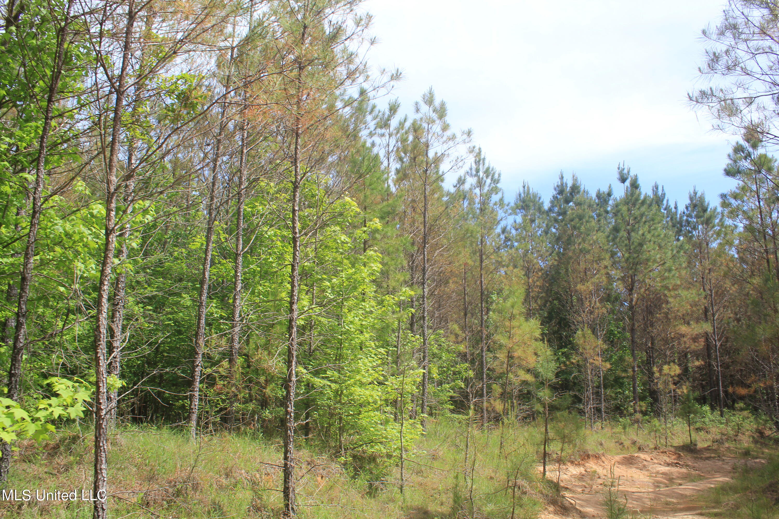 2409 Musgray Road Waterford, MS 38685 - Photo 8 of 25 IMG_8354