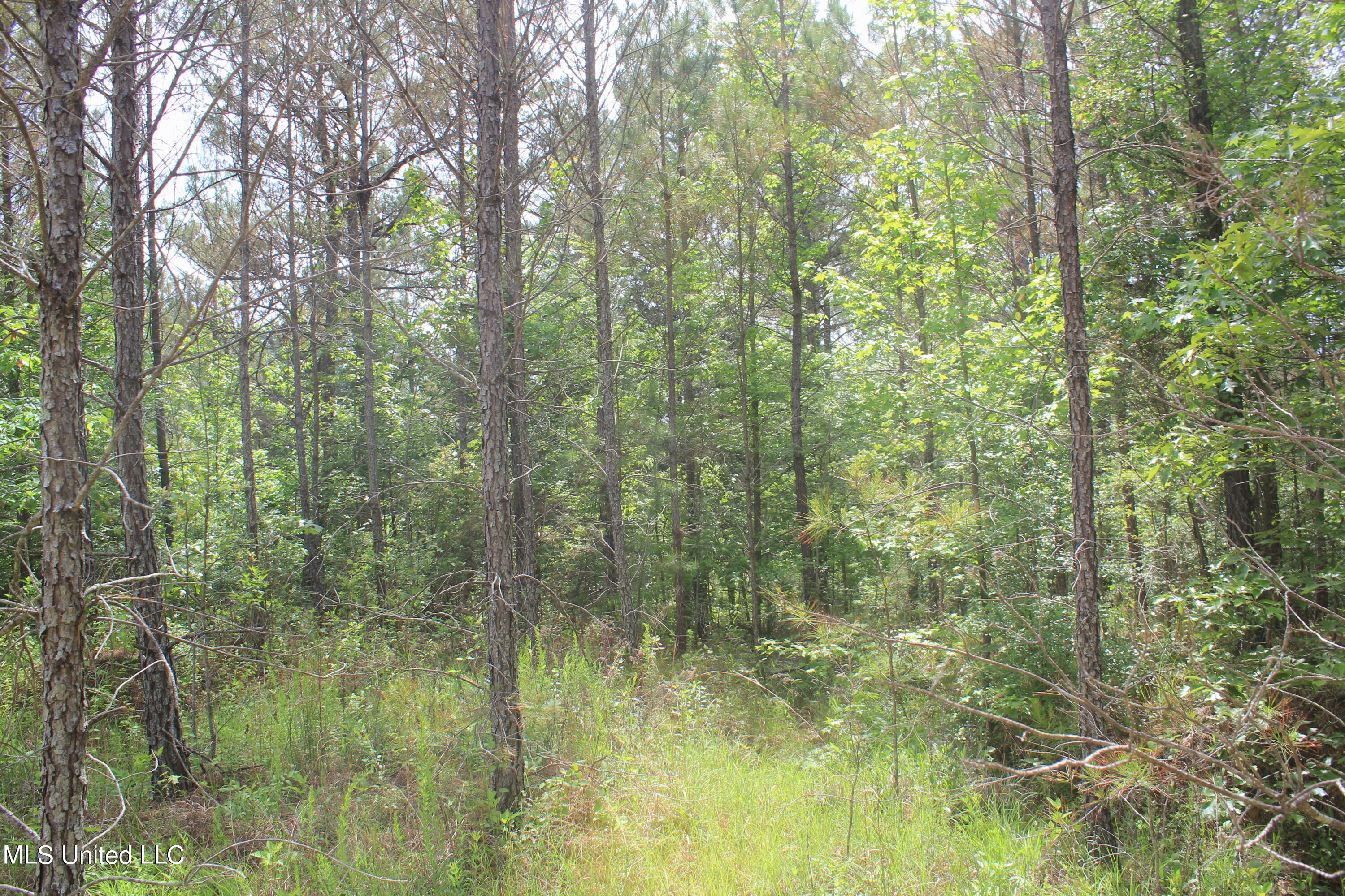2409 Musgray Road Waterford, MS 38685 - Photo 9 of 25 IMG_8355