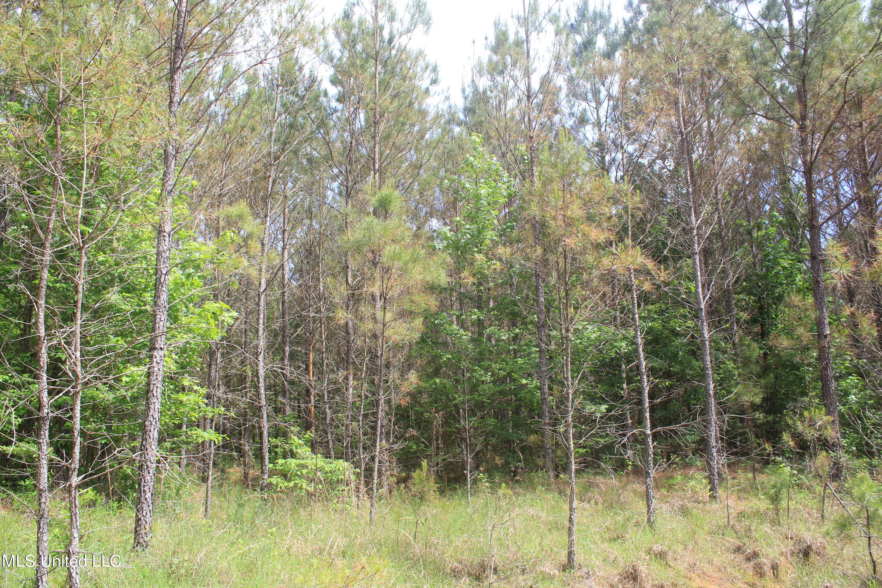 2409 Musgray Road Waterford, MS 38685 - Photo 10 of 25 IMG_8356