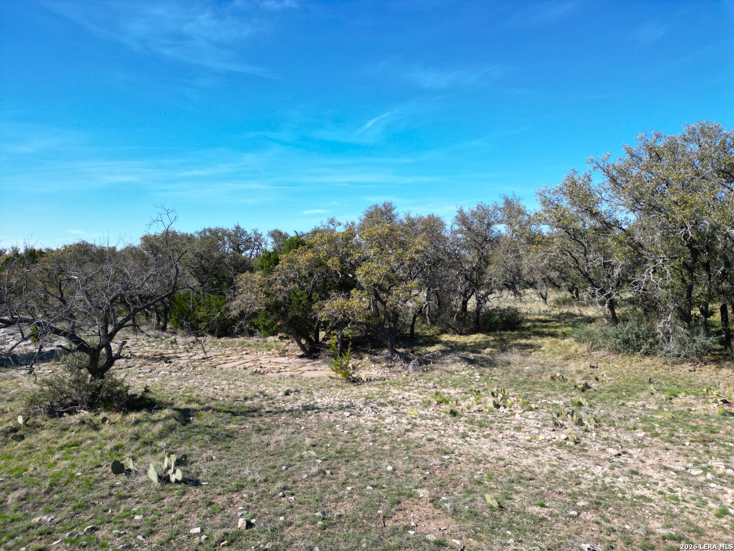264 Pheasant Trail Menard, TX 76859 - Photo 12 of 15 a view of a dry yard with trees in the background