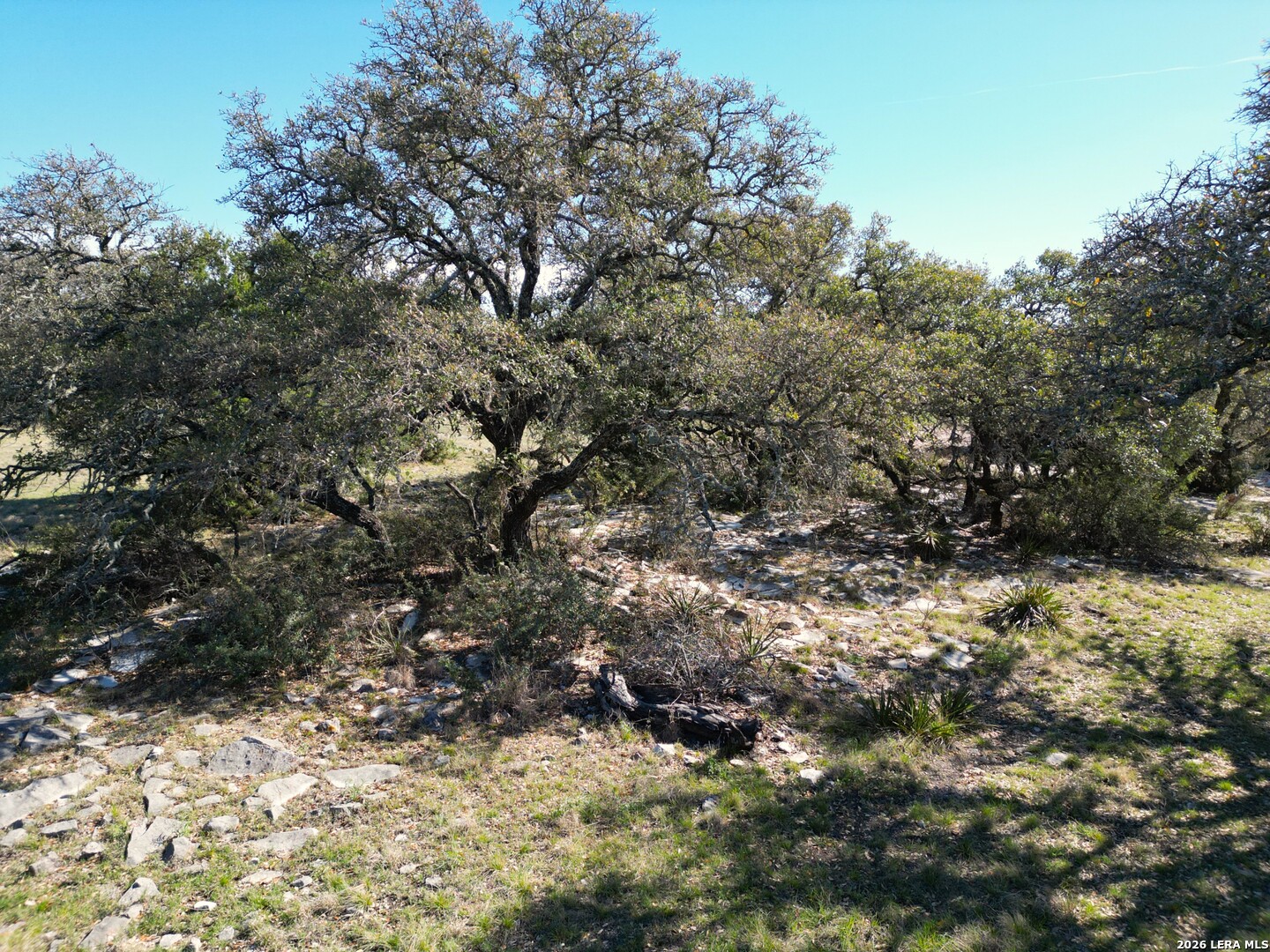 264 Pheasant Trail Menard, TX 76859 - Photo 13 of 15 a view of a tree of a yard