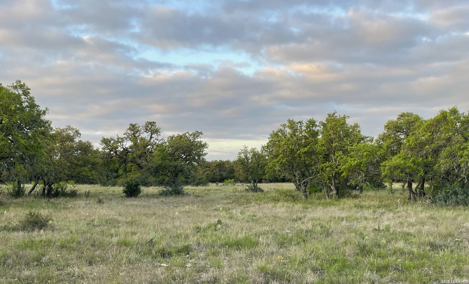 264 Pheasant Trail Menard, TX 76859 - Photo 4 of 15 a view of a yard