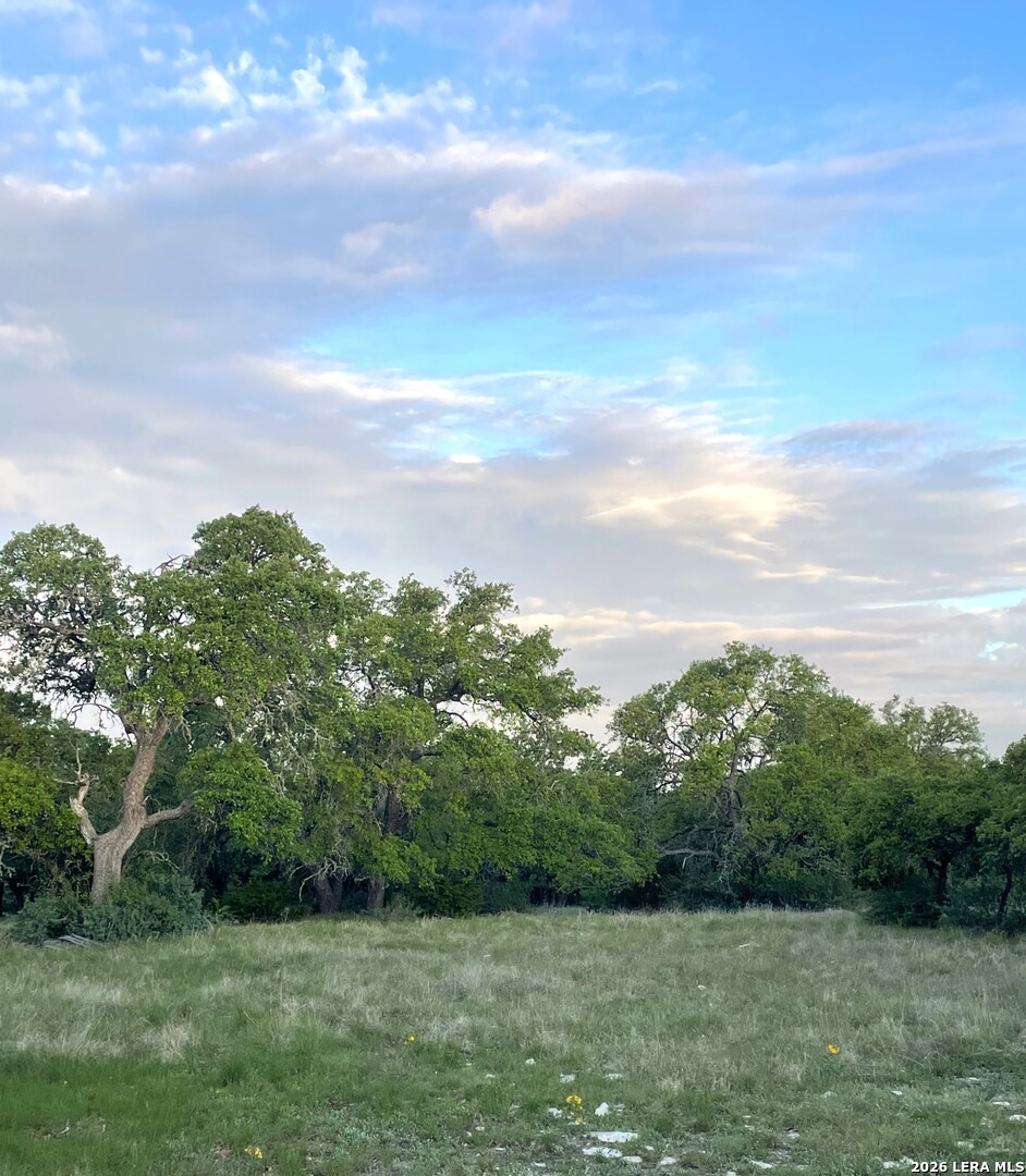 264 Pheasant Trail Menard, TX 76859 - Photo 6 of 15 a view of a big yard