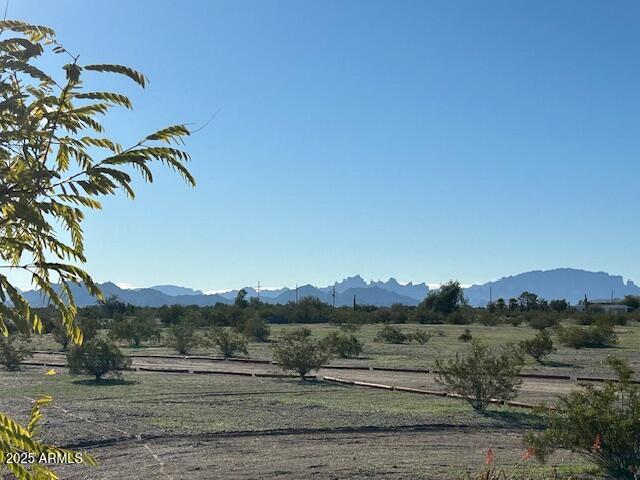 29884 La Paz Valley Road Quartzsite, AZ 85346 - Photo 9 of 21