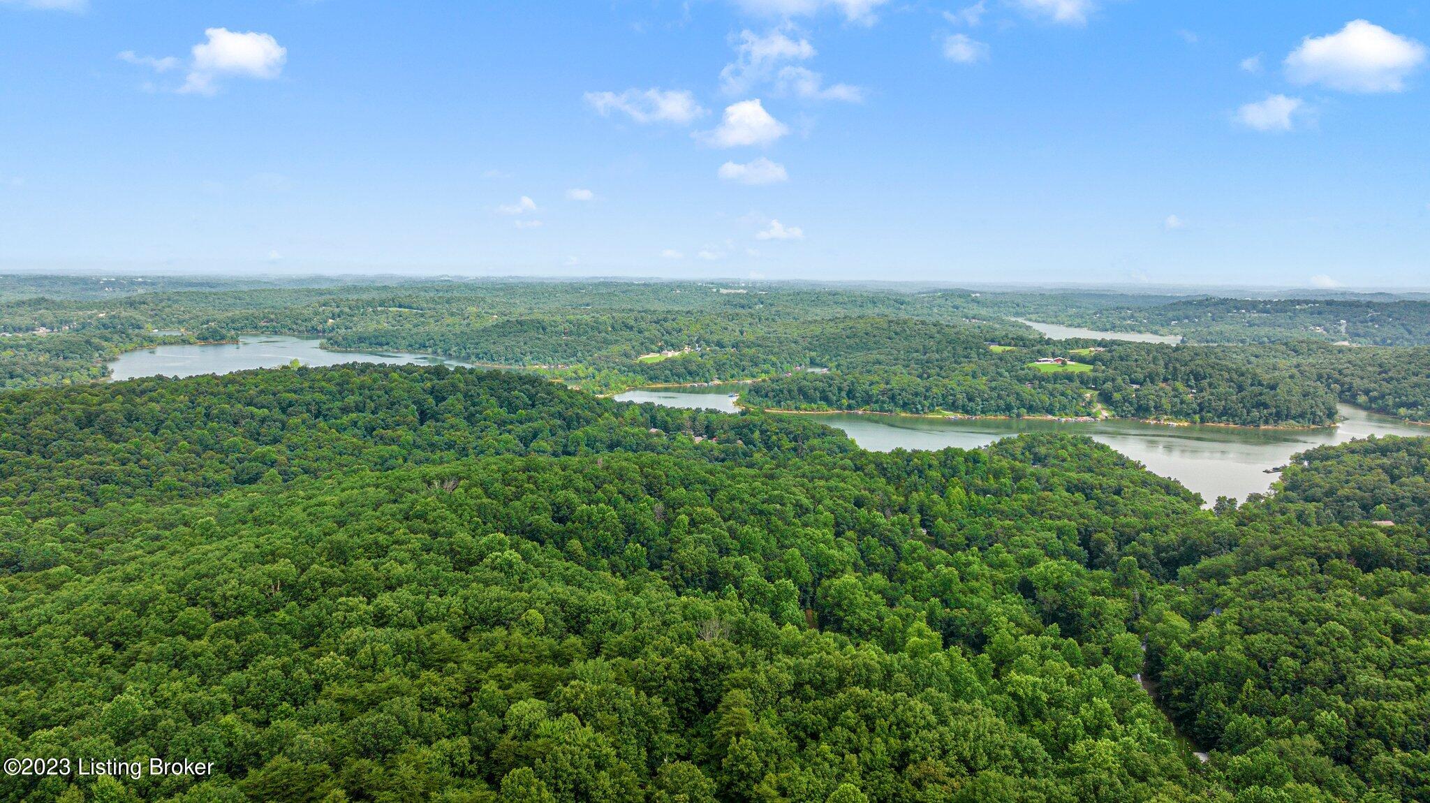790 Long Fall Road Cub Run, KY 42729 - Photo 22 of 29 7-web-or-mls-DJI_0558