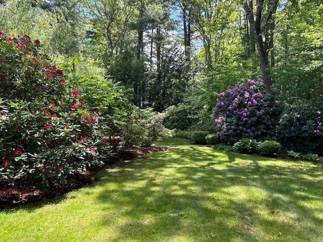 5 David Joseph Road Hopkinton, MA 01748 - Photo 29 of 38 Gallery Image 29
