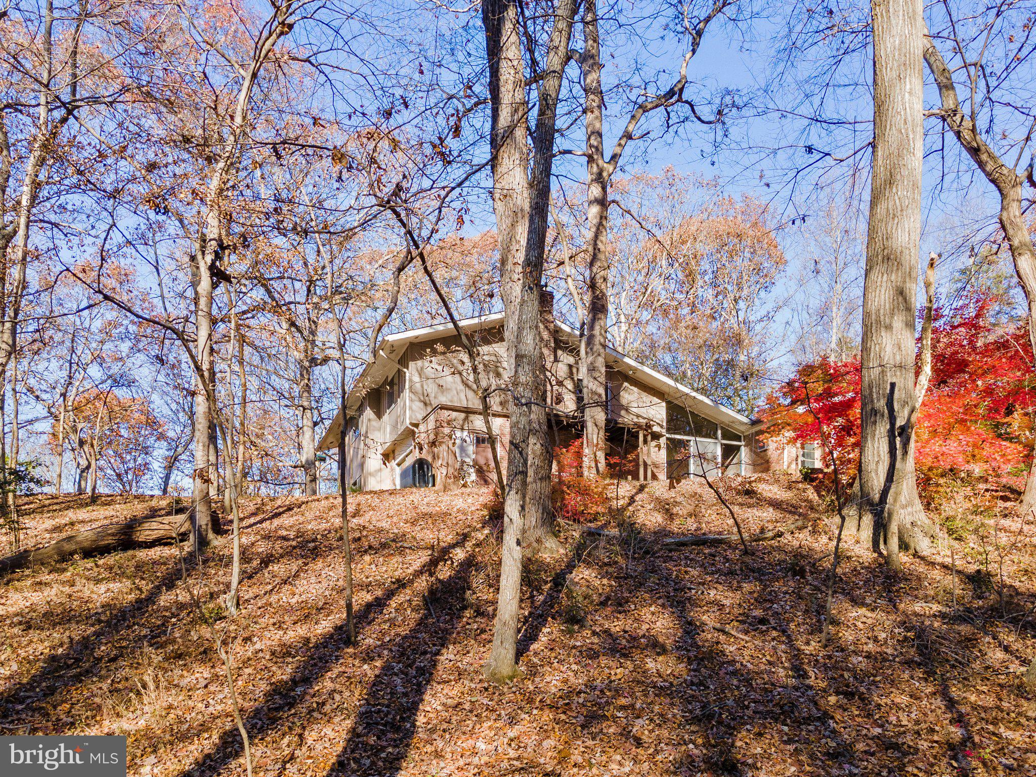 10611 Vale Road Oakton, VA 22124 - Photo 15 of 99 Gallery Image 15