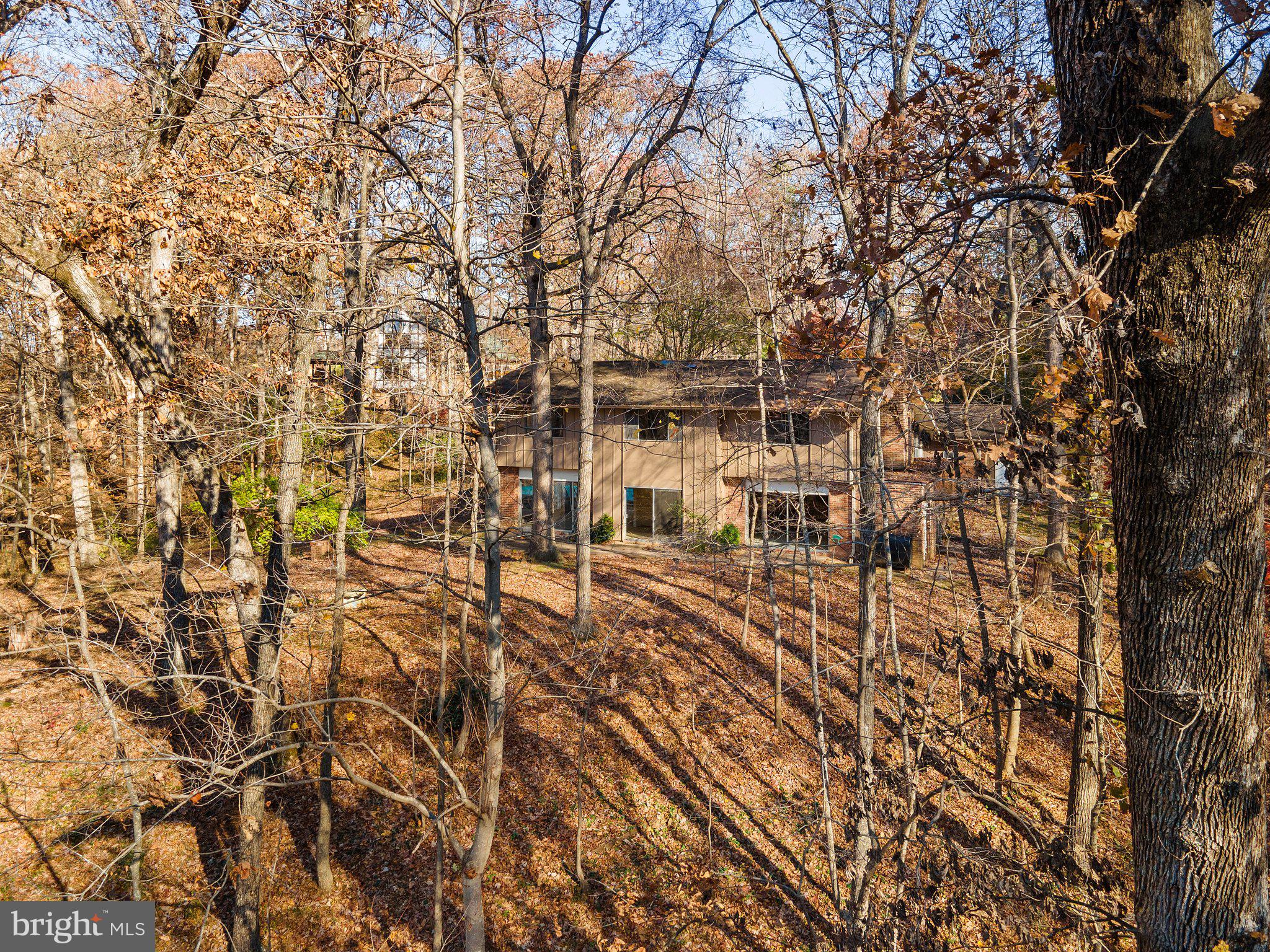 10611 Vale Road Oakton, VA 22124 - Photo 17 of 99 Gallery Image 17