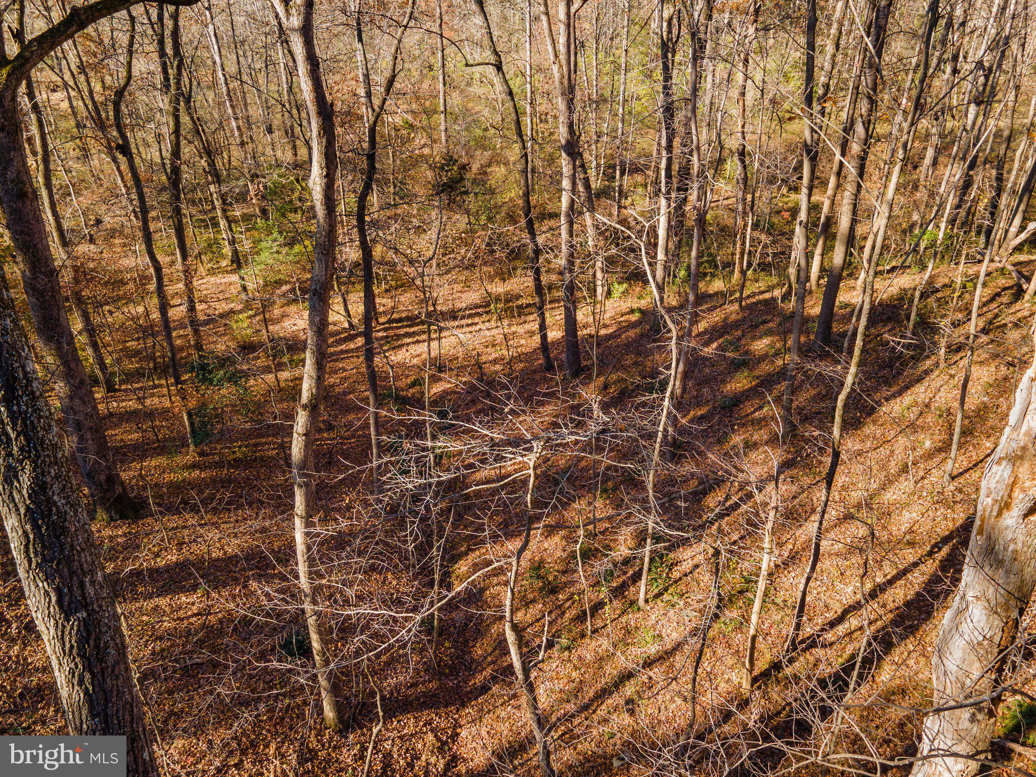 10611 Vale Road Oakton, VA 22124 - Photo 18 of 99 Gallery Image 18