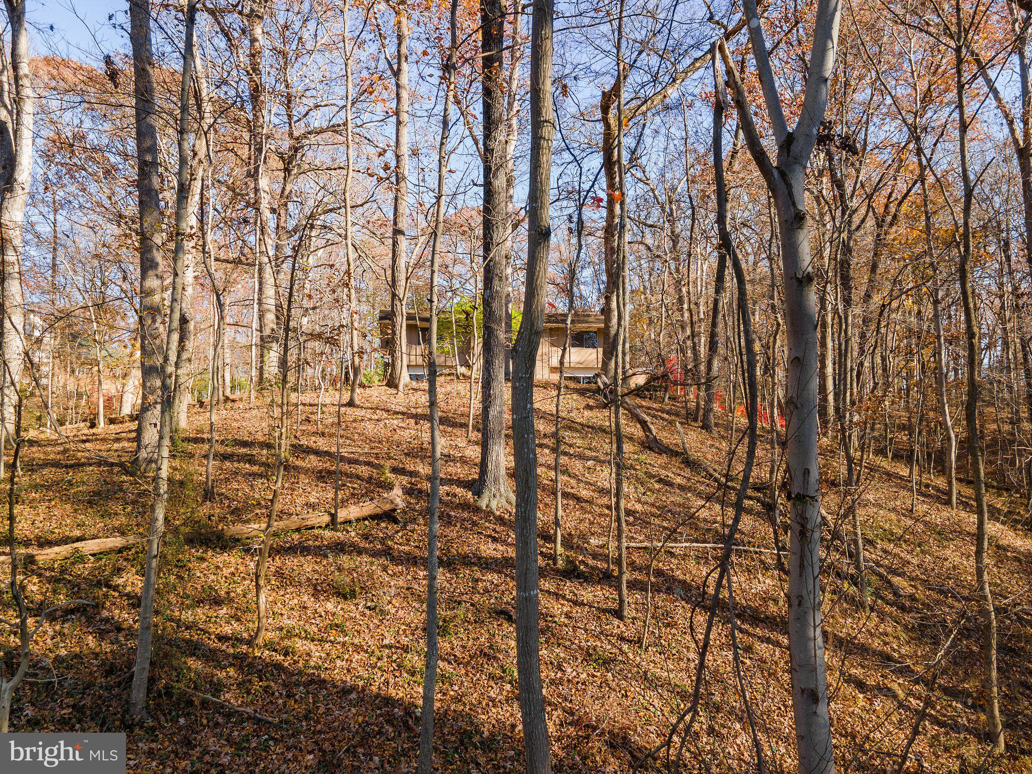 10611 Vale Road Oakton, VA 22124 - Photo 19 of 99 Gallery Image 19