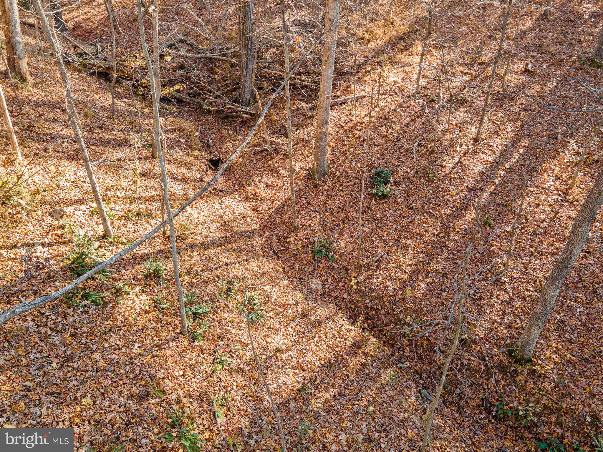 10611 Vale Road Oakton, VA 22124 - Photo 20 of 99 Gallery Image 20