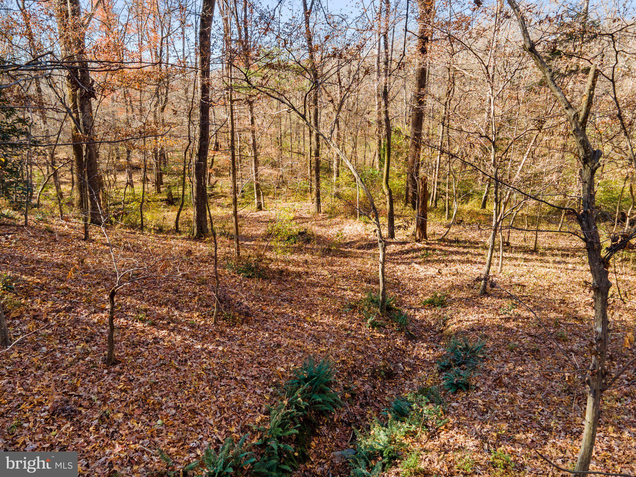 10611 Vale Road Oakton, VA 22124 - Photo 21 of 99 Gallery Image 21