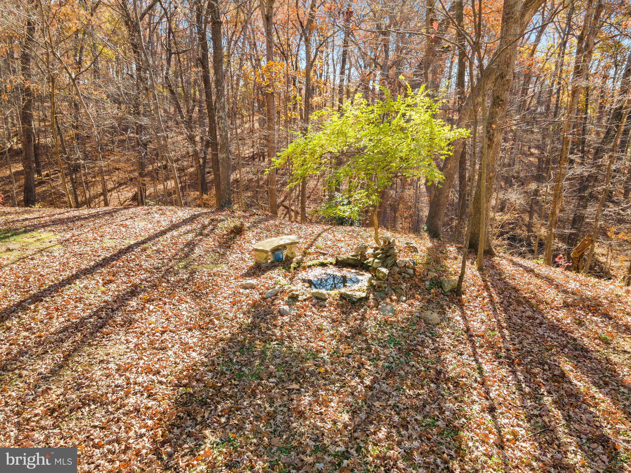 10611 Vale Road Oakton, VA 22124 - Photo 23 of 99 Gallery Image 23