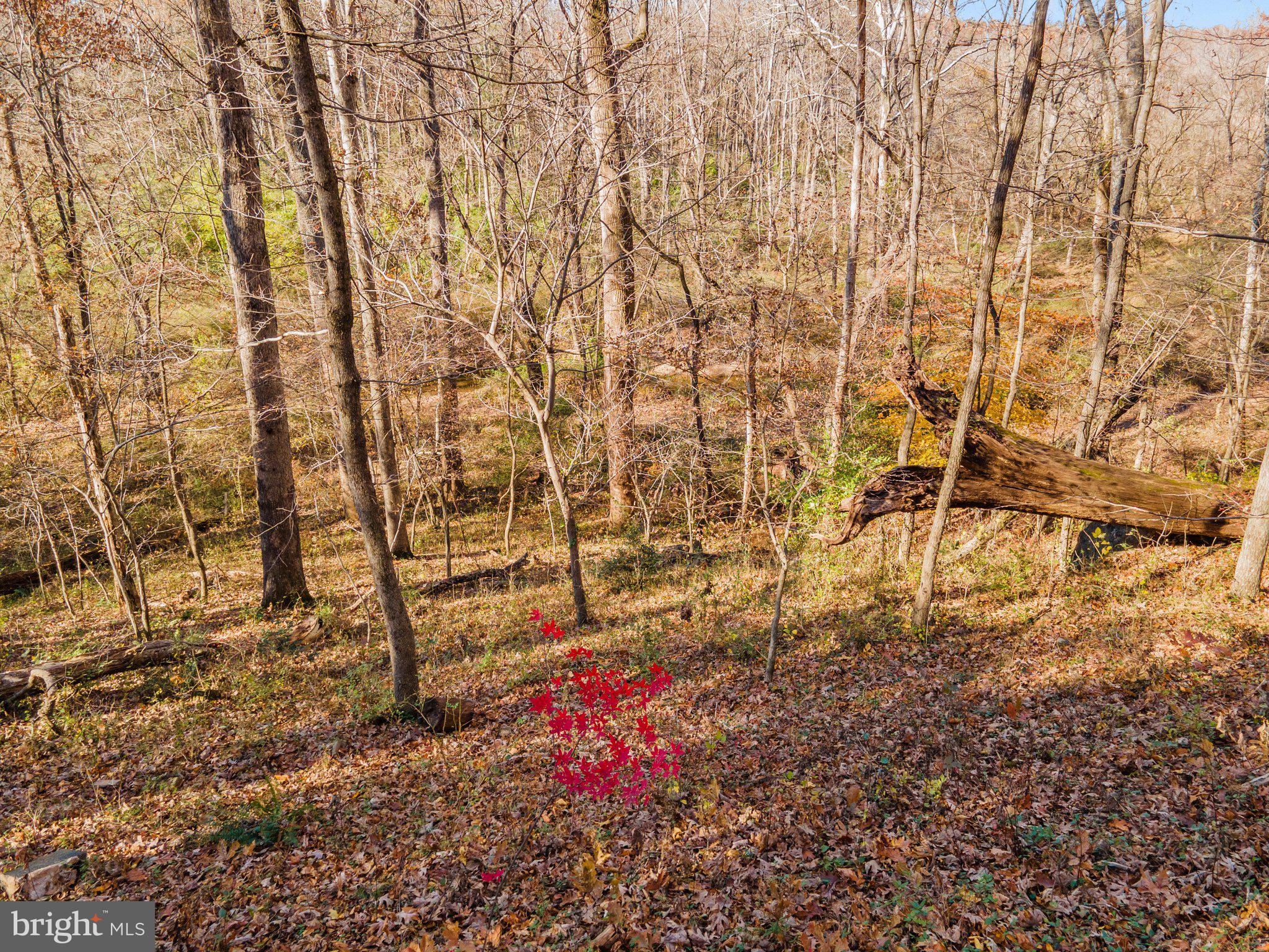 10611 Vale Road Oakton, VA 22124 - Photo 24 of 99 Gallery Image 24