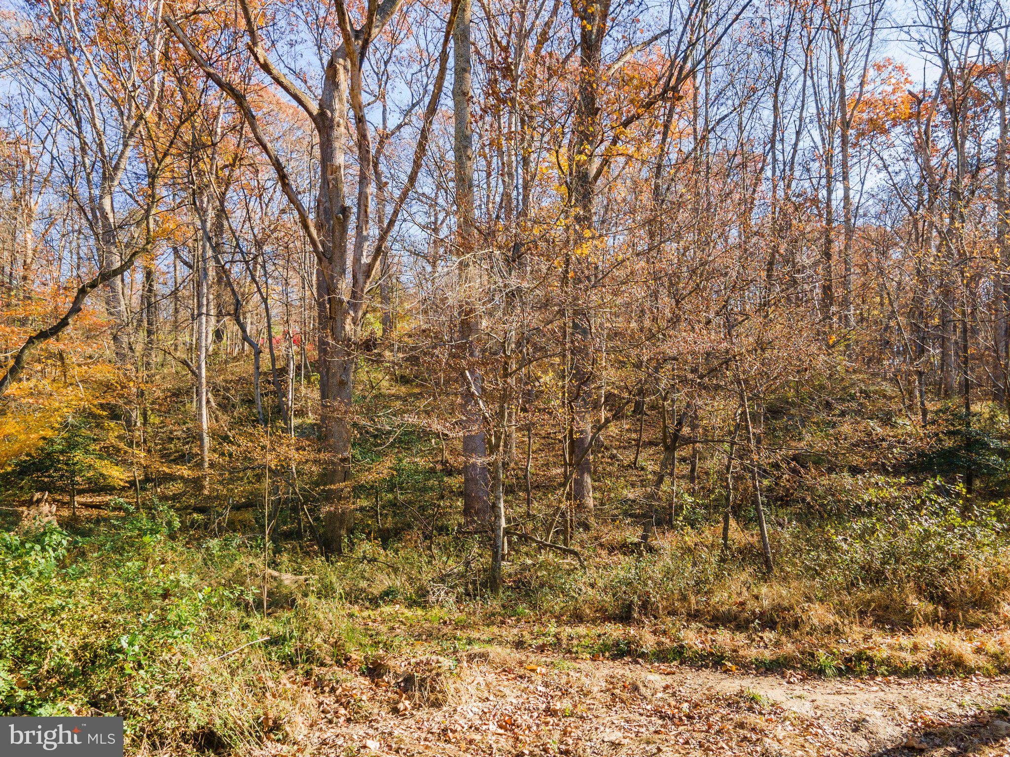 10611 Vale Road Oakton, VA 22124 - Photo 25 of 99 Gallery Image 25