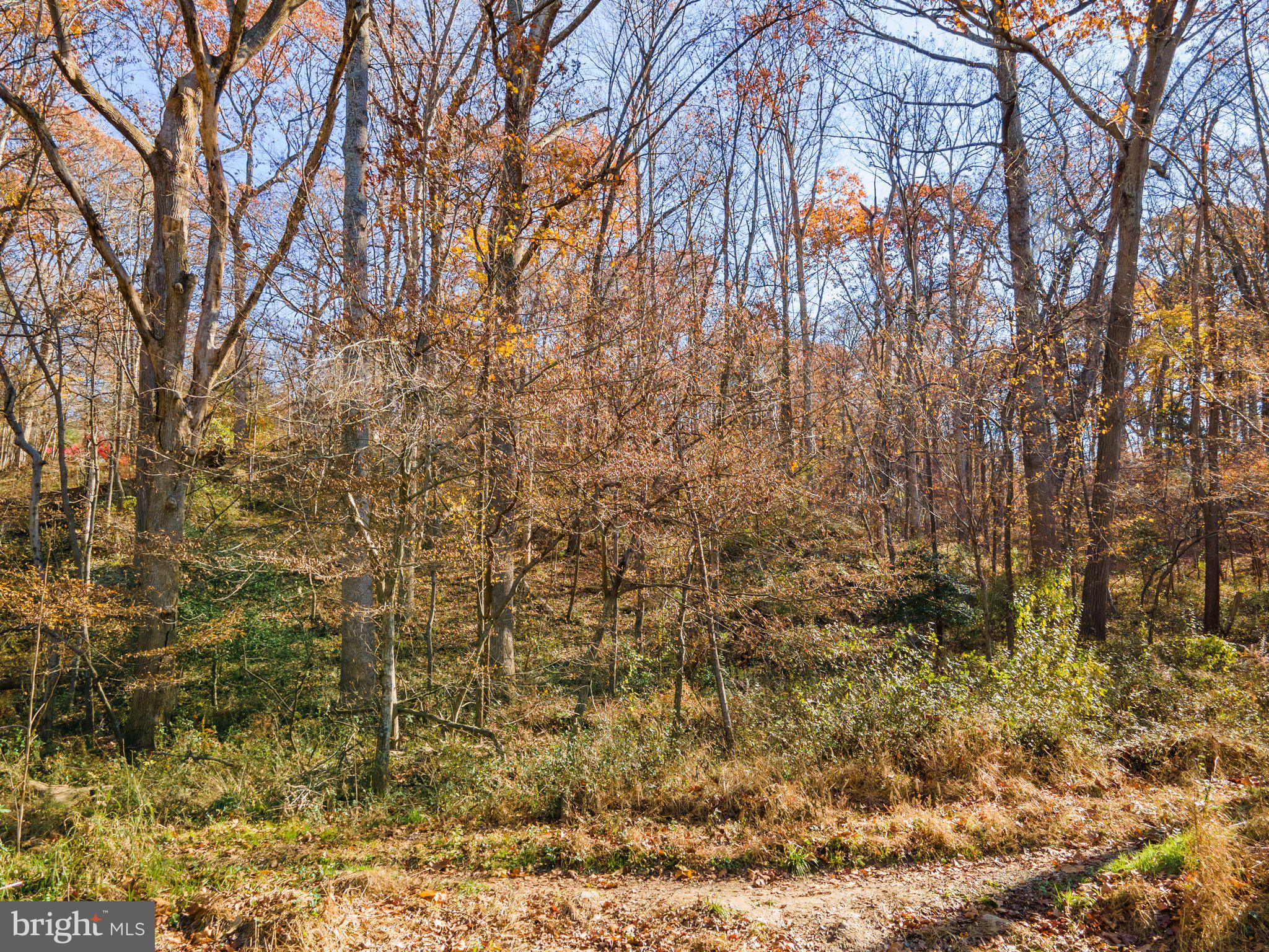 10611 Vale Road Oakton, VA 22124 - Photo 26 of 99 Gallery Image 26