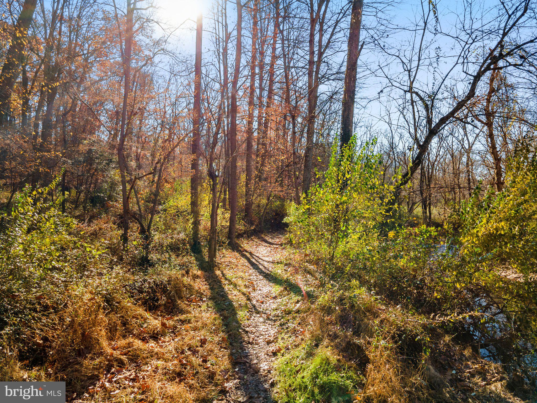 10611 Vale Road Oakton, VA 22124 - Photo 31 of 99 Gallery Image 31