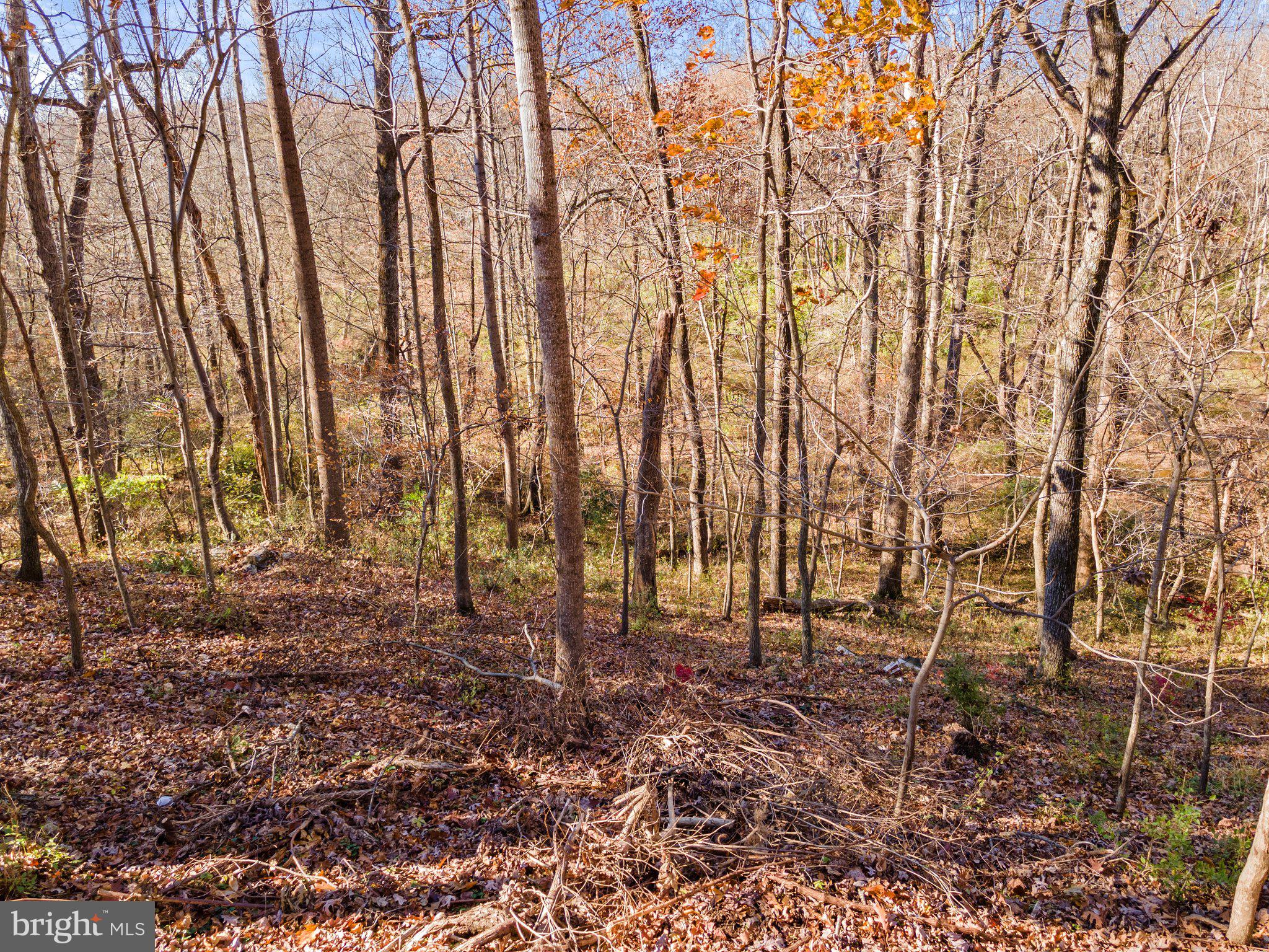 10611 Vale Road Oakton, VA 22124 - Photo 32 of 99 Gallery Image 32