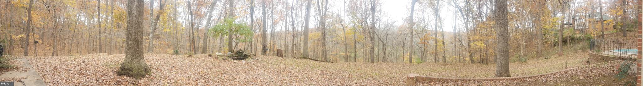 10611 Vale Road Oakton, VA 22124 - Photo 74 of 99 Gallery Image 74