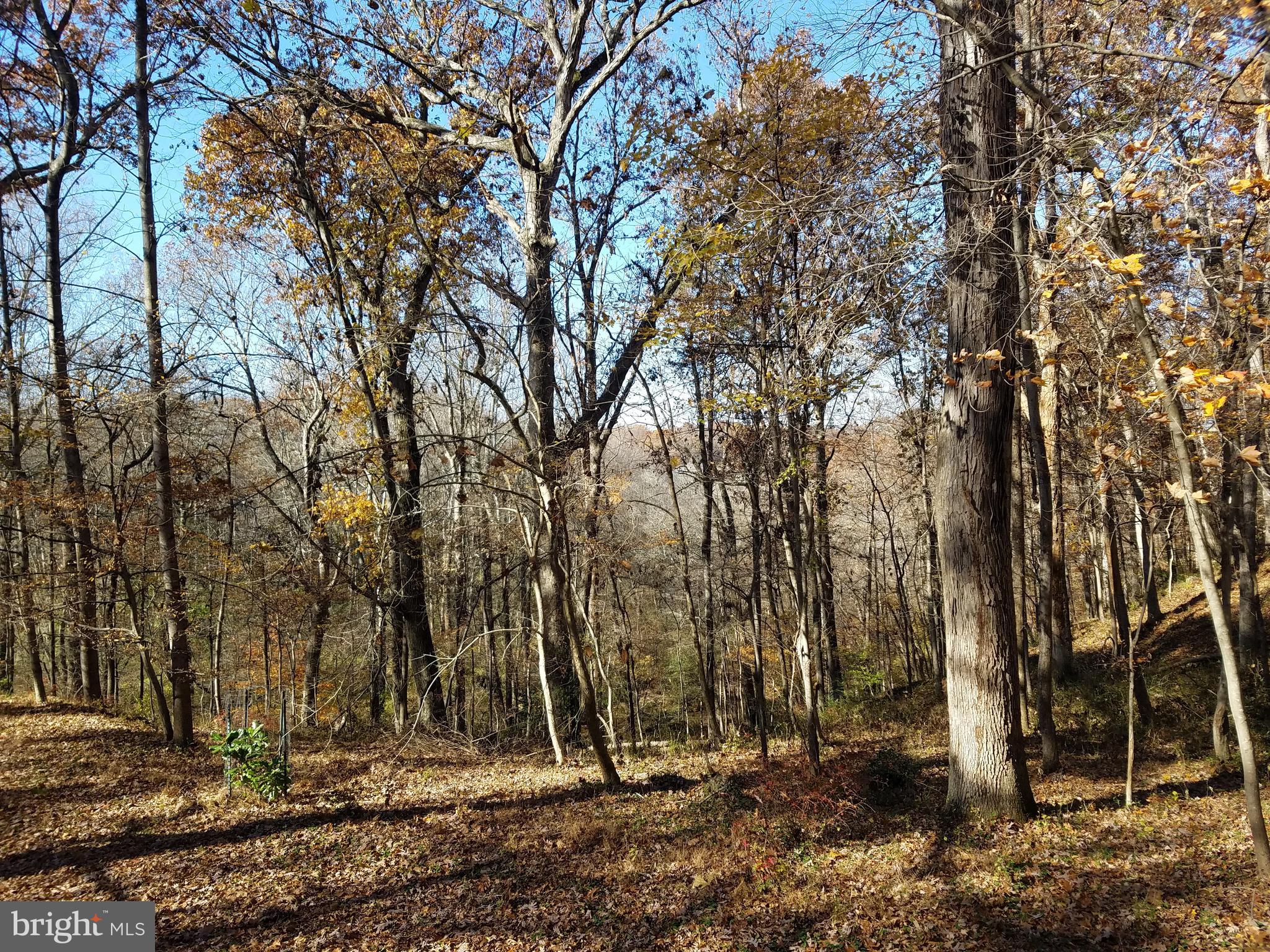 10611 Vale Road Oakton, VA 22124 - Photo 86 of 99 Gallery Image 86