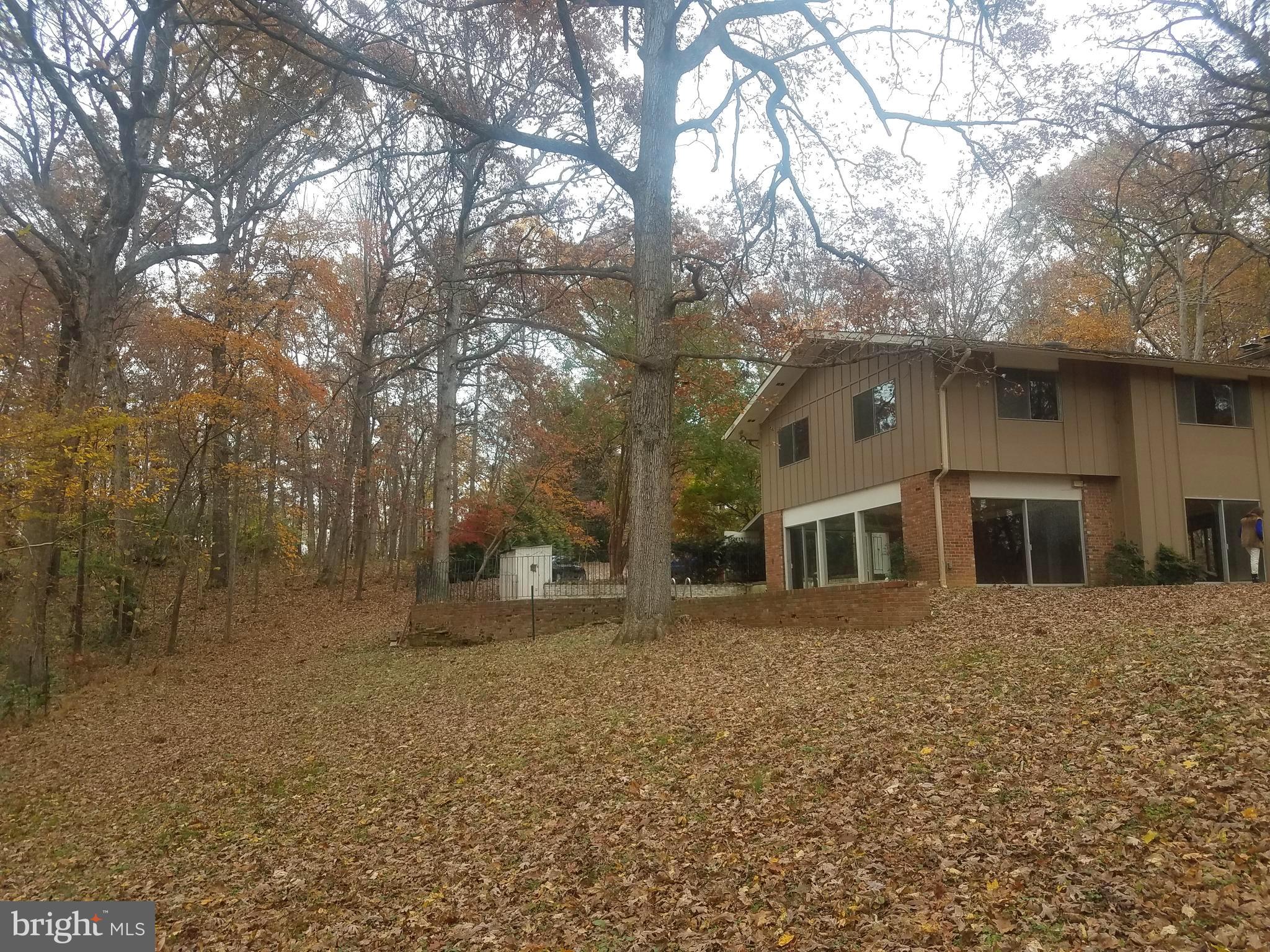 10611 Vale Road Oakton, VA 22124 - Photo 90 of 99 Gallery Image 90