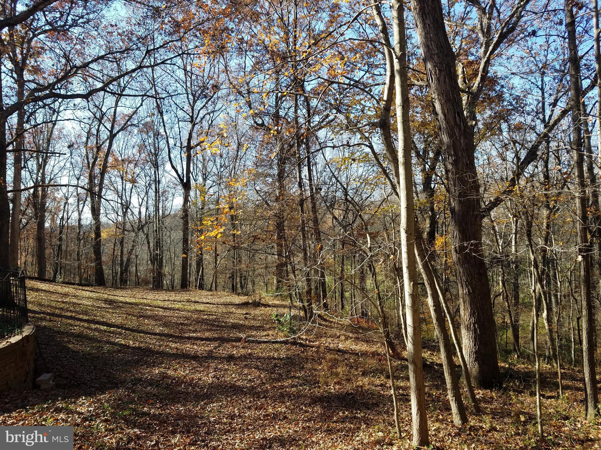 10611 Vale Road Oakton, VA 22124 - Photo 91 of 99 Gallery Image 91