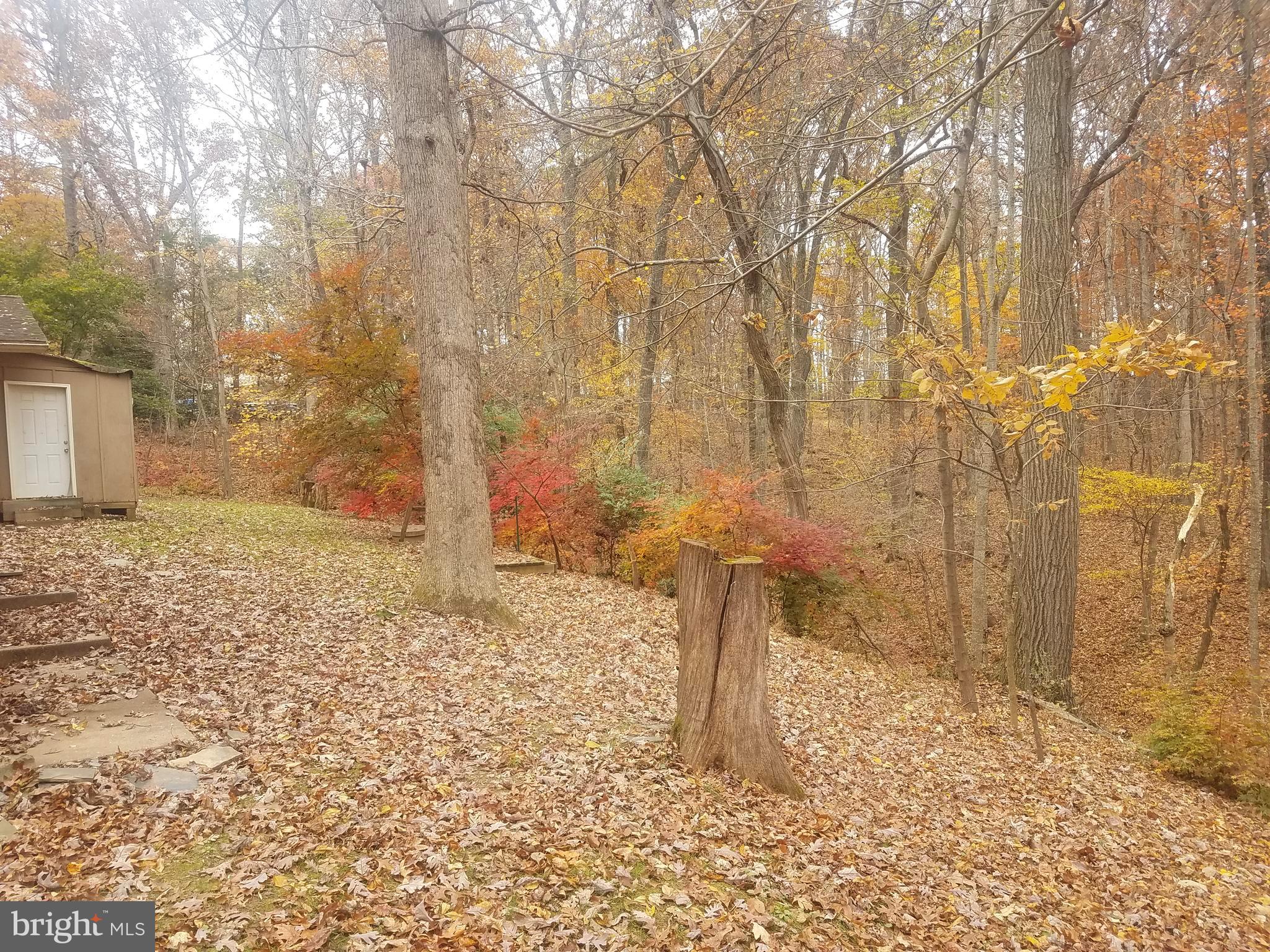 10611 Vale Road Oakton, VA 22124 - Photo 94 of 99 Gallery Image 94