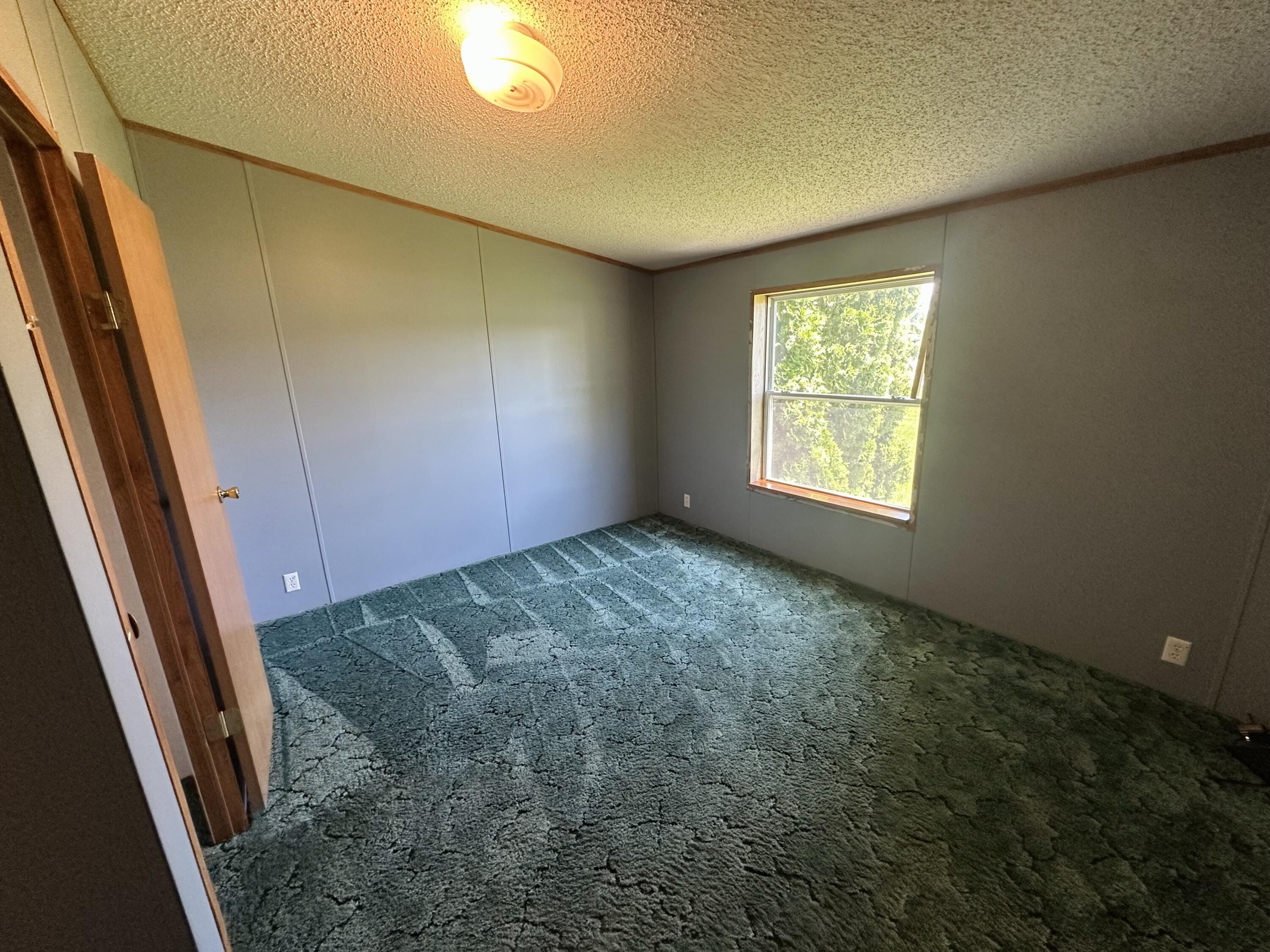 10020 Hadley Road Litchfield, MI 49252 - Photo 9 of 26 IMG_7619