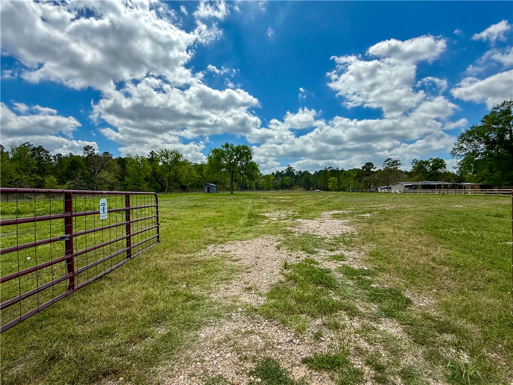 12082 State Highway 30 Anderson, TX 77830 - Photo 18 of 18