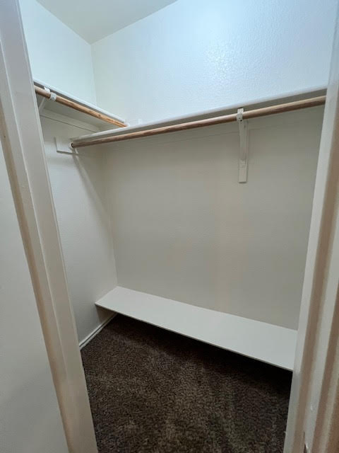 1012 Christopher Avenue, Unit B Round Rock, TX 78681 - Photo 24 of 34 Walk in closet with carpet