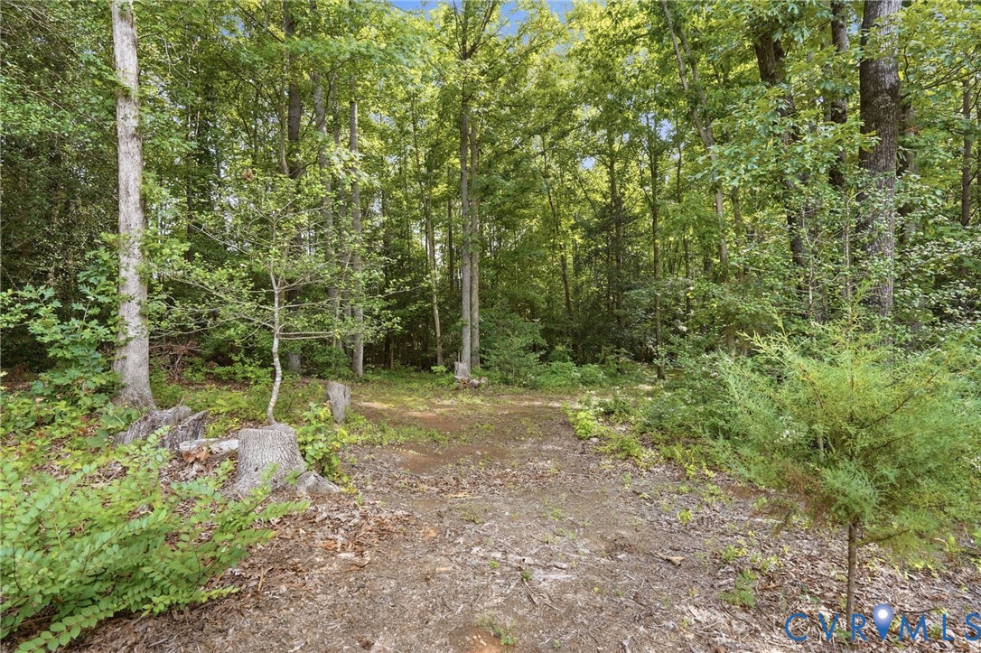 14194 Hopeful Road Montpelier, VA 23192 - Photo 44 of 55 Gallery Image 44