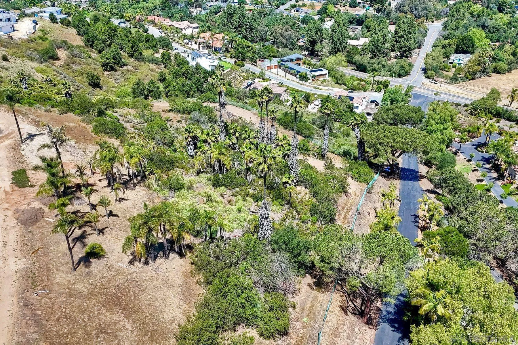 0 Buena Creek Road, Unit 39 Vista, CA 92084 - Photo 10 of 18 a view of a house with a lush green forest
