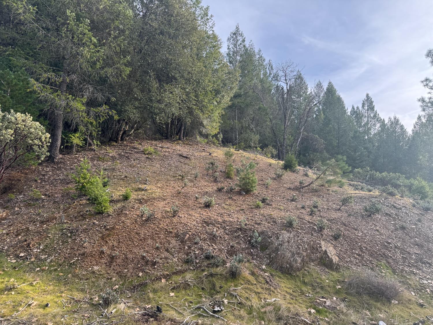14037 Arrowhead Mine Road Grass Valley, CA 95945 - Photo 4 of 7 Gallery Image 4