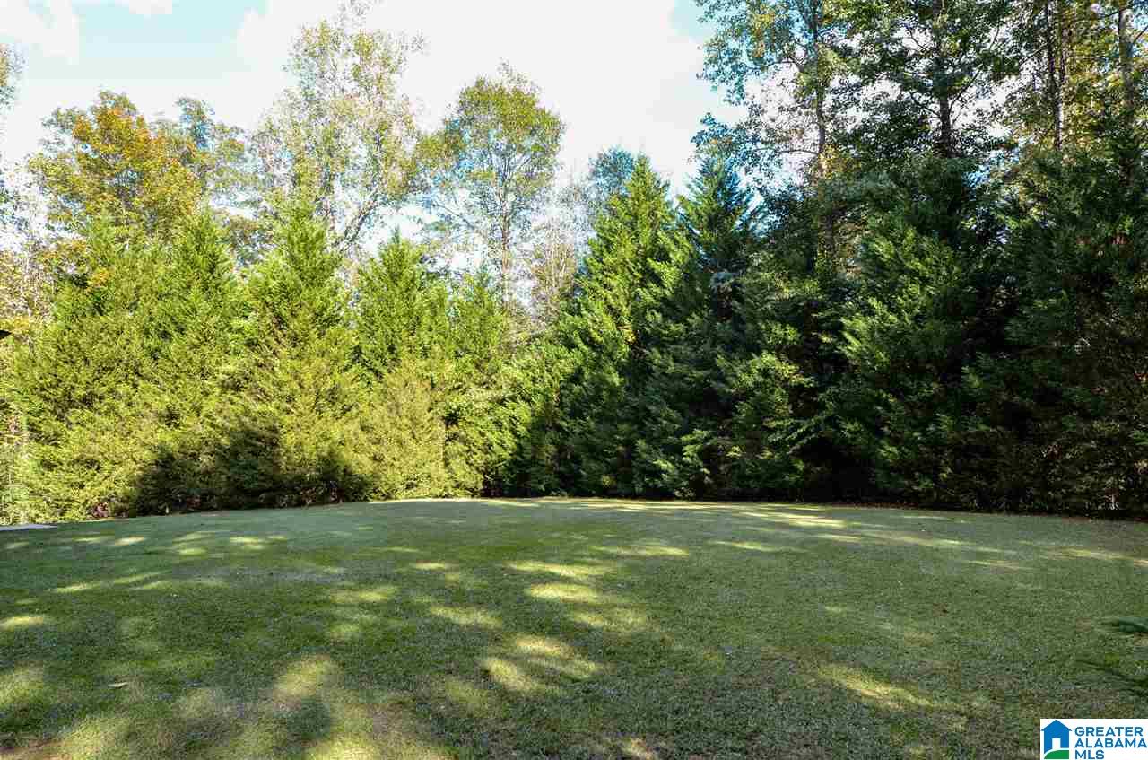 613 Pineview Road Jasper, AL 35504 - Photo 32 of 43