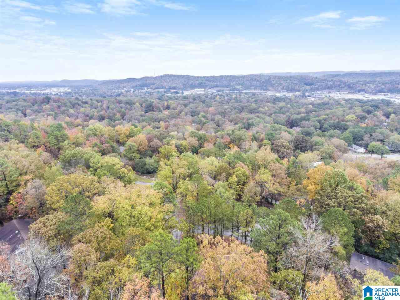 1037 Ryecroft Circle Pelham, AL 35124 - Photo 2 of 44