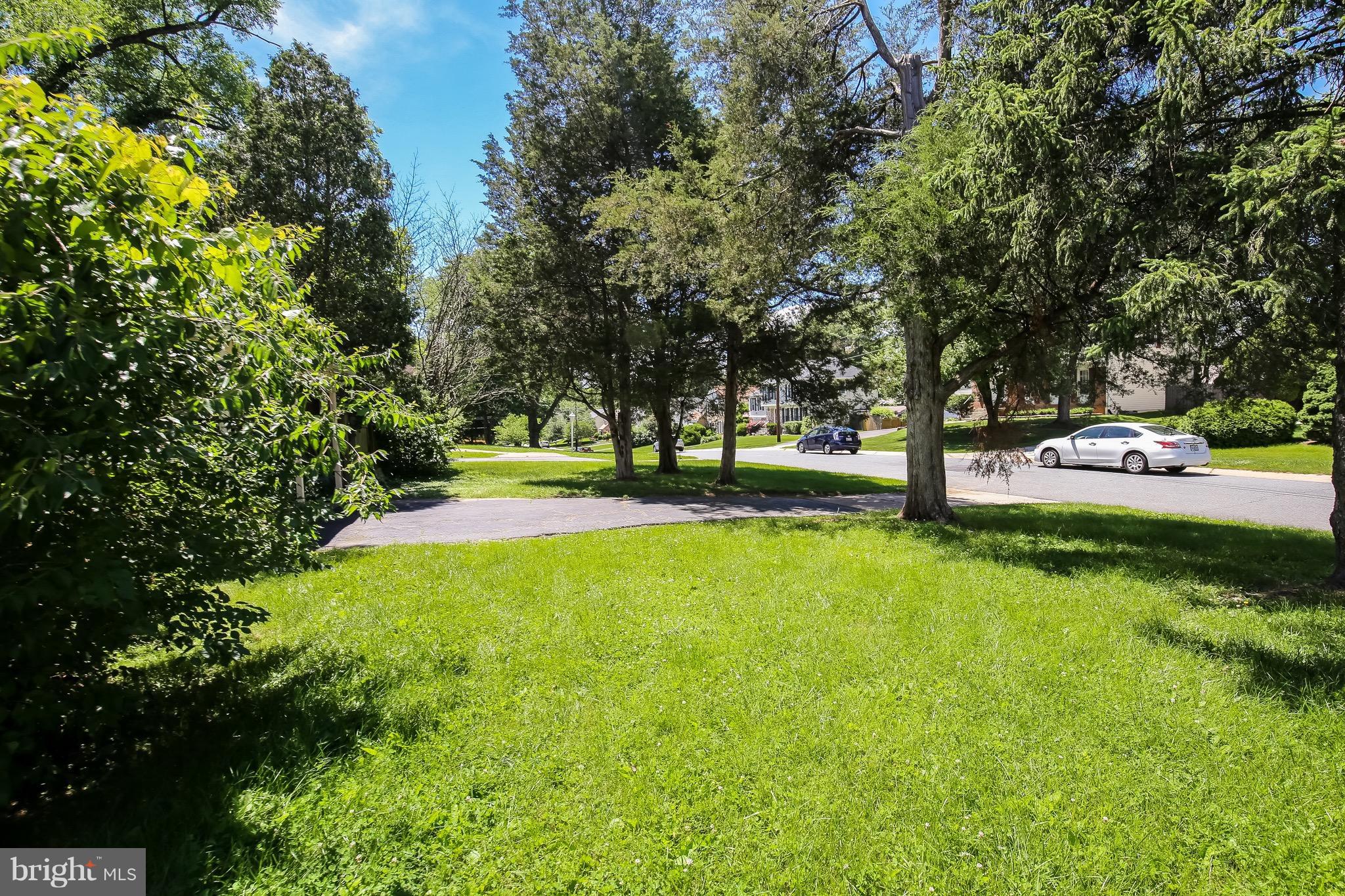 11514 Seven Locks Road Rockville, MD 20854 - Photo 7 of 10 a view of yard with green space and trees